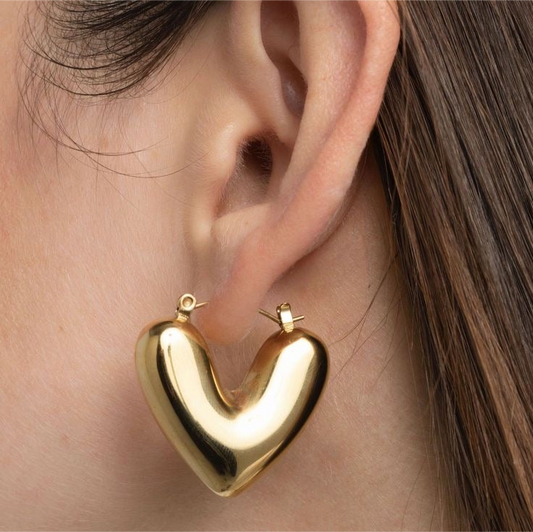 Heart earrings